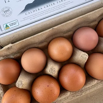 12 Pasture Raised Eggs 600g