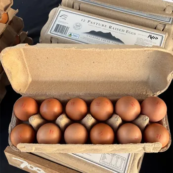 12 Pasture Raised Eggs 700g