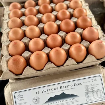 30 Pasture Raised Eggs 700g